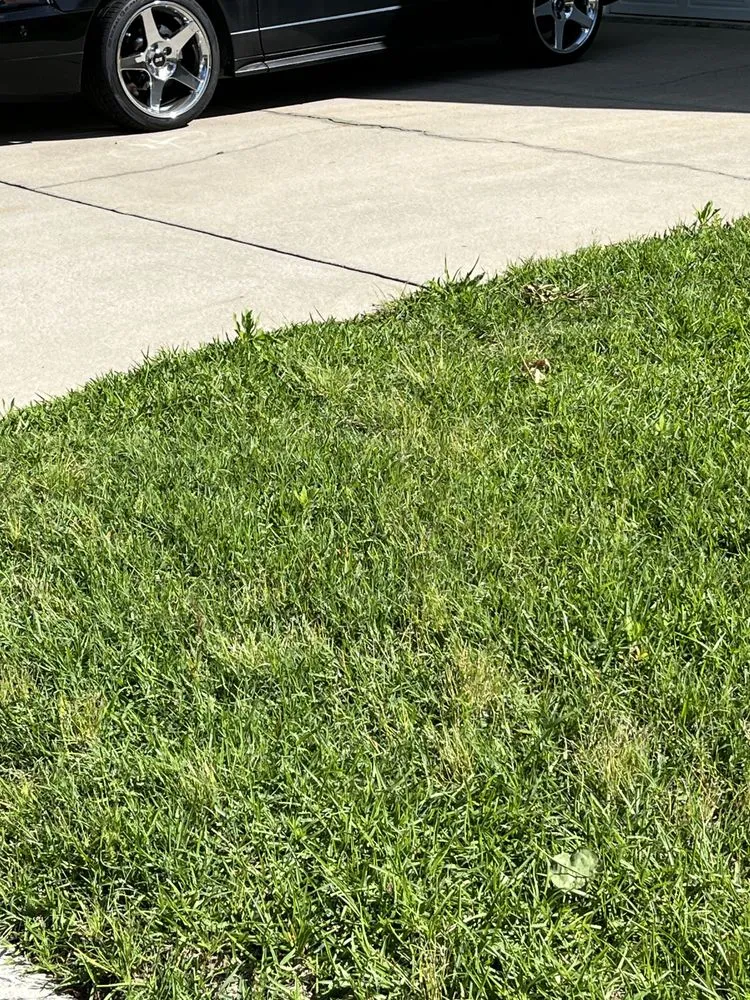 Reliable lawn mowing service with custom design across Morrisville, NC - Yardnique