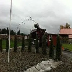 Local yard maintenance experts serving Vancouver, WA - Yardpro NW