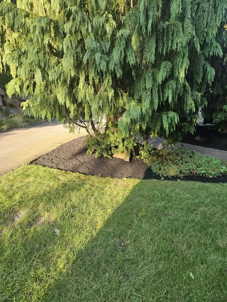 Trusted lawn care service in Woonsocket, RI by YardPro