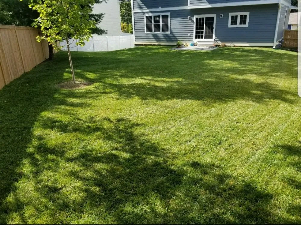 Affordable landscape design for residential properties across Falls Church, VA - YardPROZ