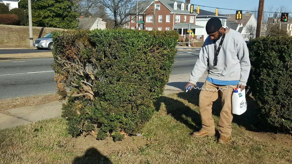 Professional landscape installation experts serving Falls Church, VA - YardPROZ