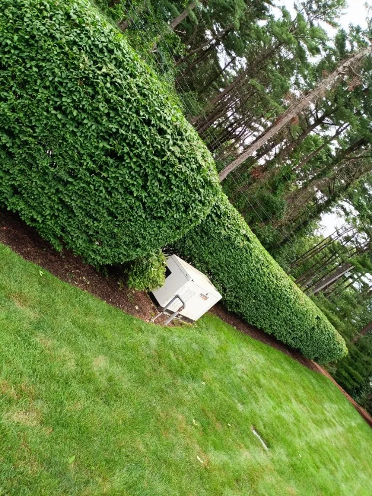 Expert outdoor landscaping in Pembroke, MA by YardRise Landscaping