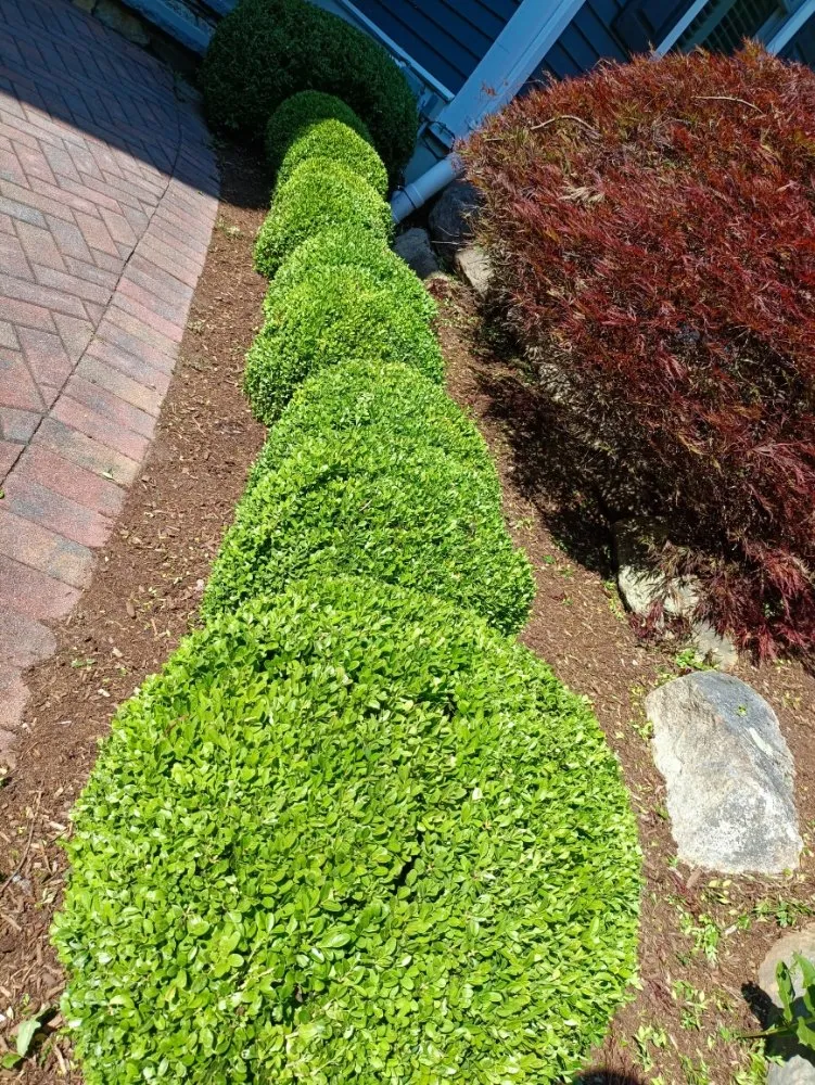 Local landscape design for residential properties in Pembroke, MA by YardRise Landscaping