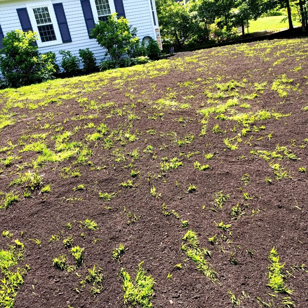 Affordable landscaping services for homes across Pembroke, MA - YardRise Landscaping