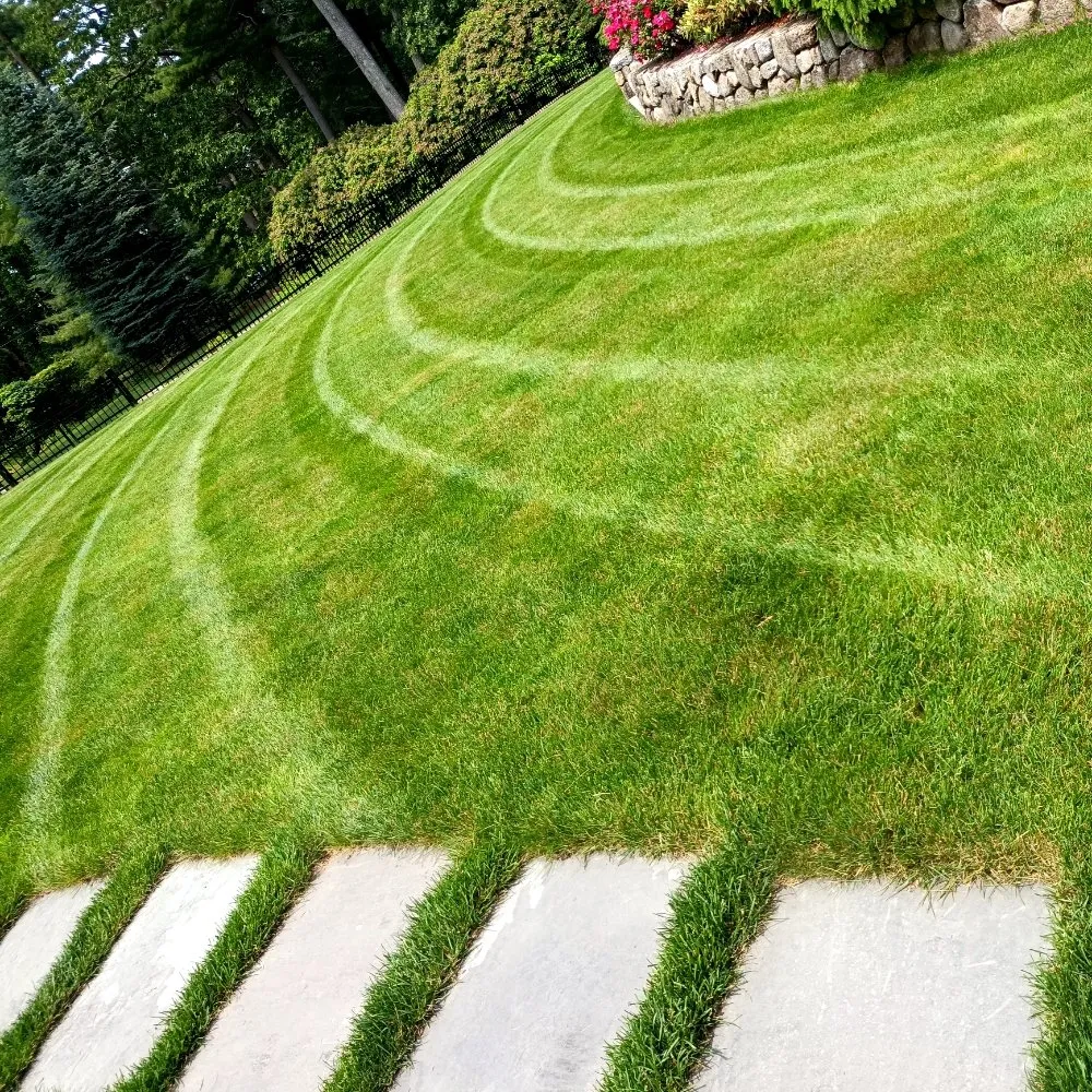 Reliable yard maintenance in Pembroke, MA - YardRise Landscaping