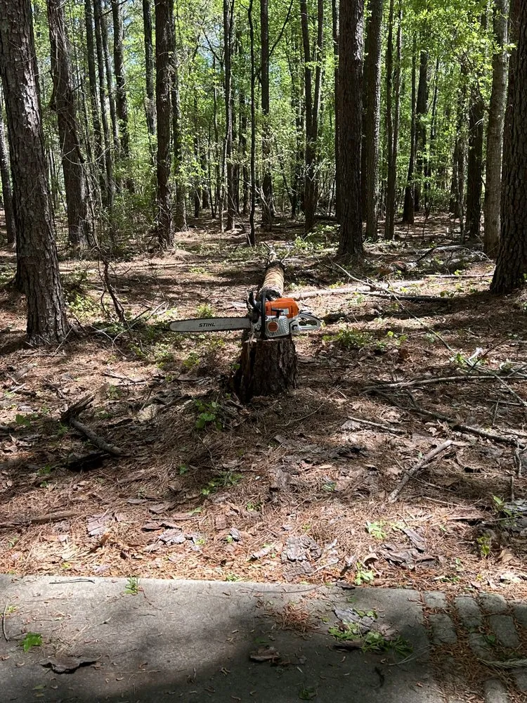 Reliable garden landscaping for beautiful yards in Royston, GA by Yards & Farms Landscaping