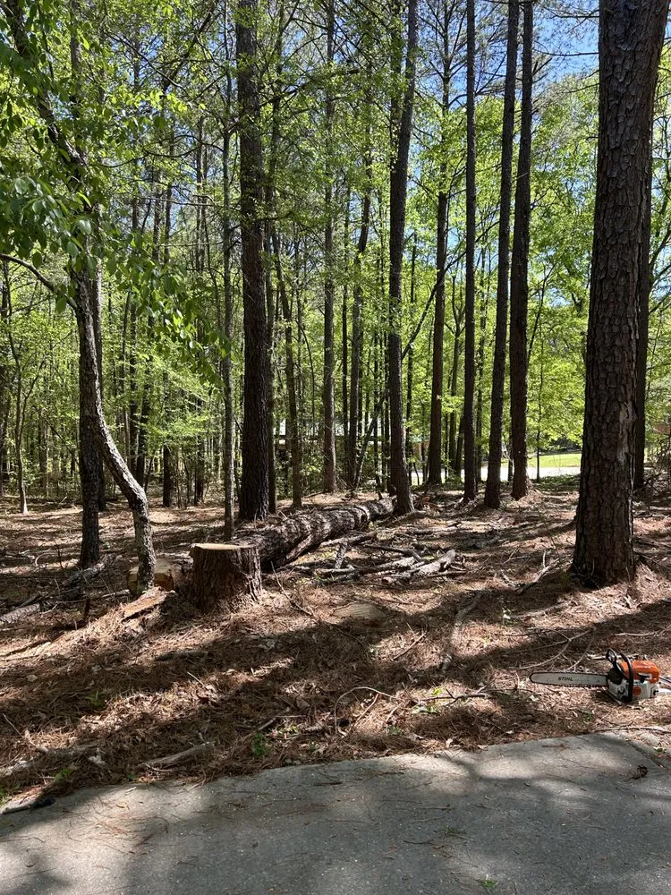 Custom yard cleanup service in Royston, GA - Yards & Farms Landscaping