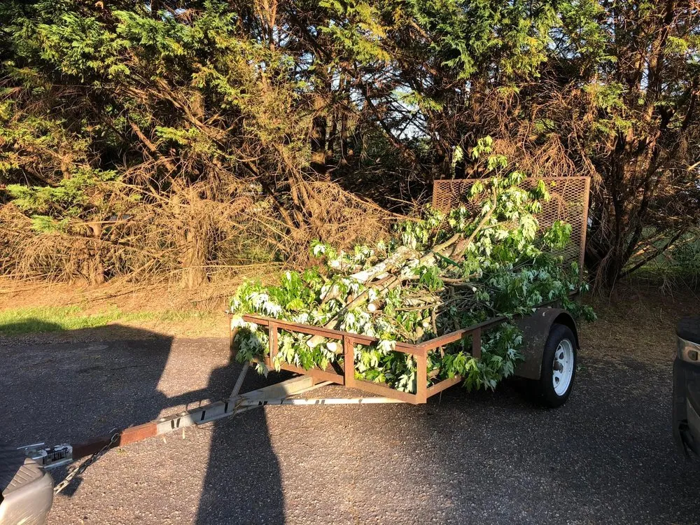 Top-rated landscape installation experts serving Royston, GA - Yards & Farms Landscaping