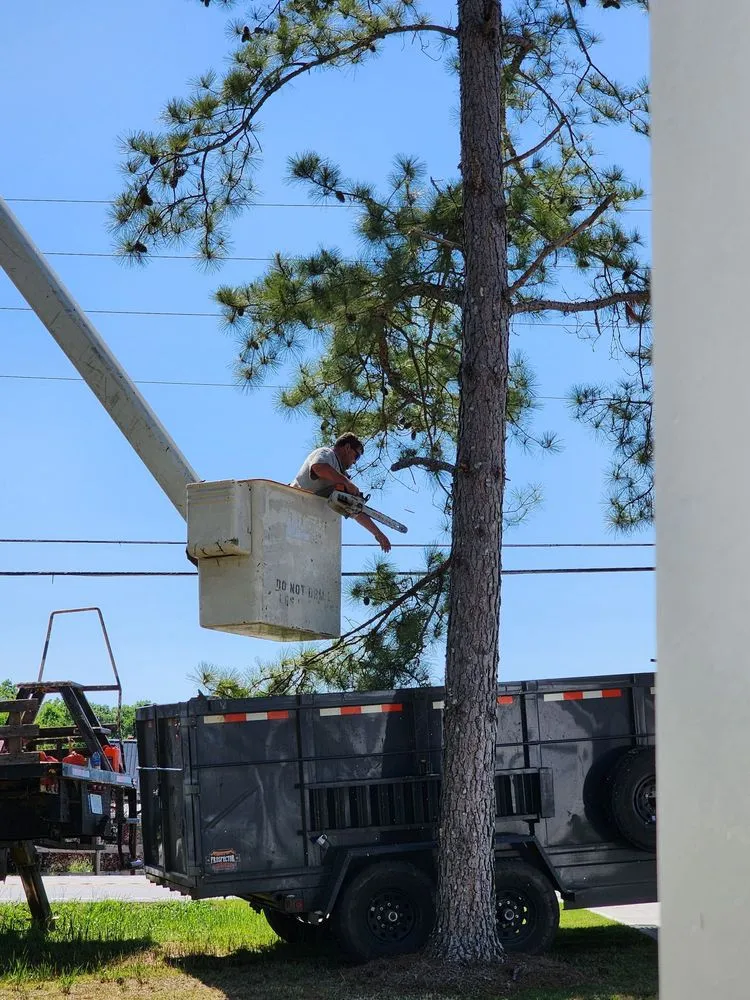 Reliable lawn care service near you in Royston, GA by Yards & Farms Landscaping