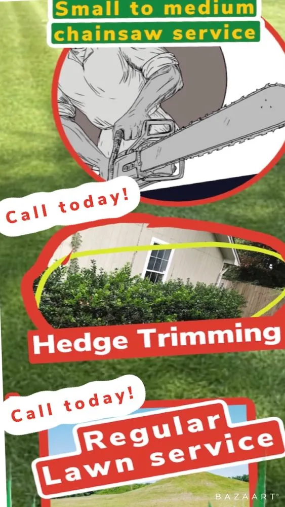 Local landscaping services experts serving Tallahassee, FL - Yards and More