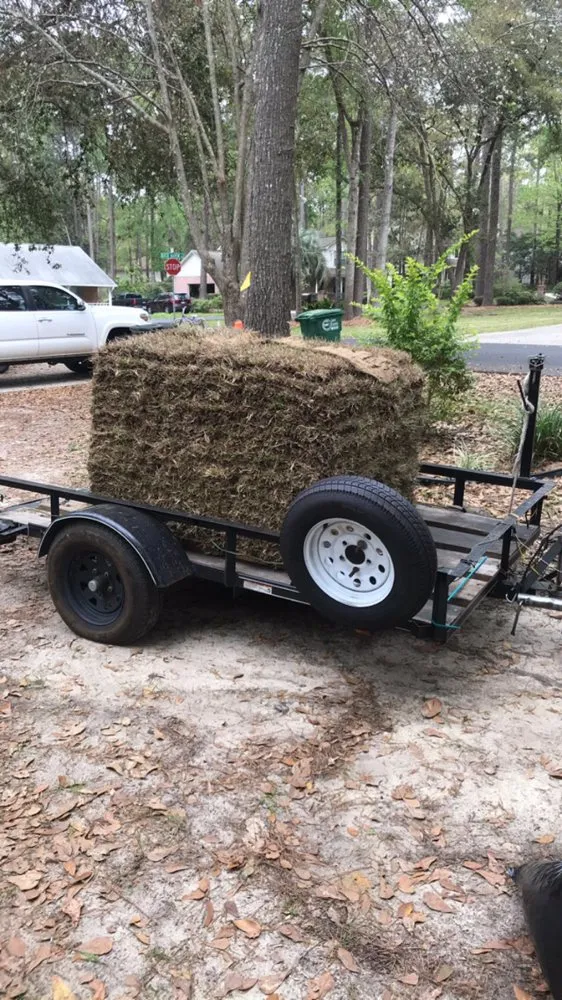 Top-rated garden landscaping experts serving Tallahassee, FL - Yards and More