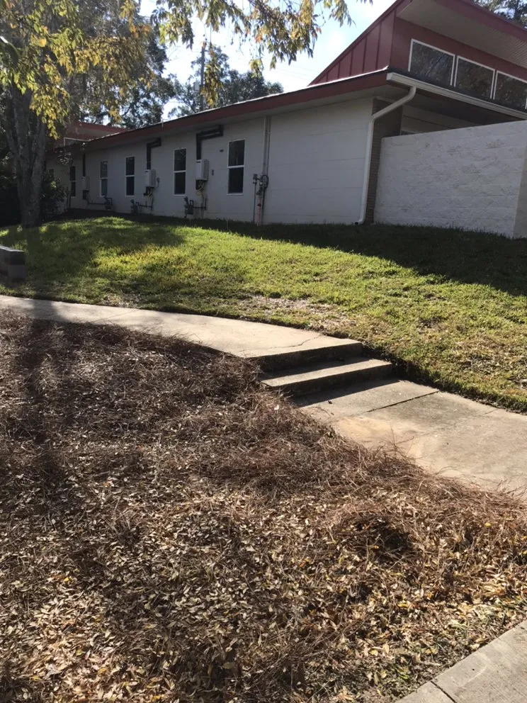 Top-rated landscape design in Tallahassee, FL by Yards and More