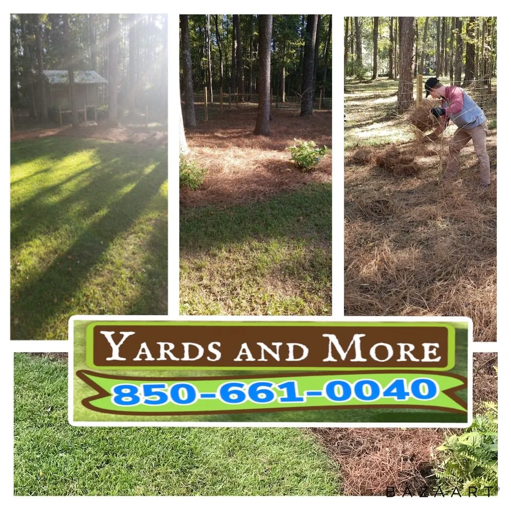 Custom lawn mowing service in Tallahassee, FL - Yards and More