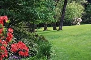 Reliable yard maintenance for homes across Leander, TX - Yards Apart Landscape