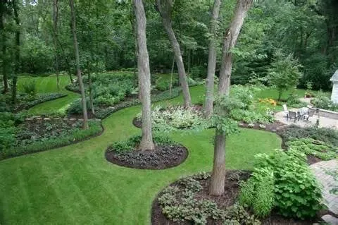 Professional yard cleanup service in Leander, TX - Yards Apart Landscape