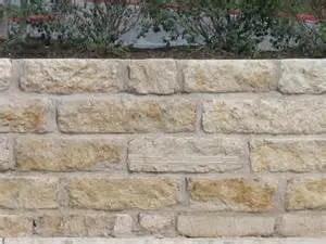 Professional yard cleanup service in Leander, TX by Yards Apart Landscape