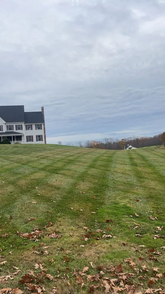 Professional yard cleanup service for outdoor upgrades across Sandown, NH - Yards Away