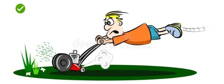 Local residential landscaping experts serving Denham Springs, LA - Yards by Billy