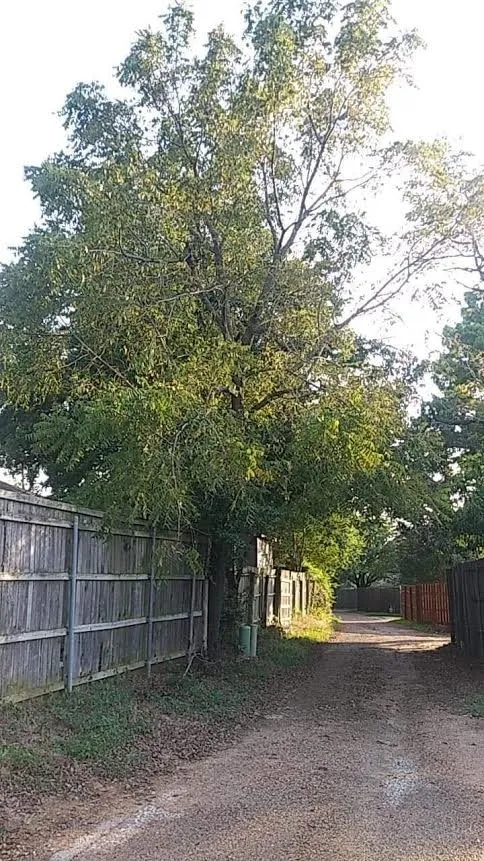 Expert residential landscaping in Hurst, TX by Yards by Dave