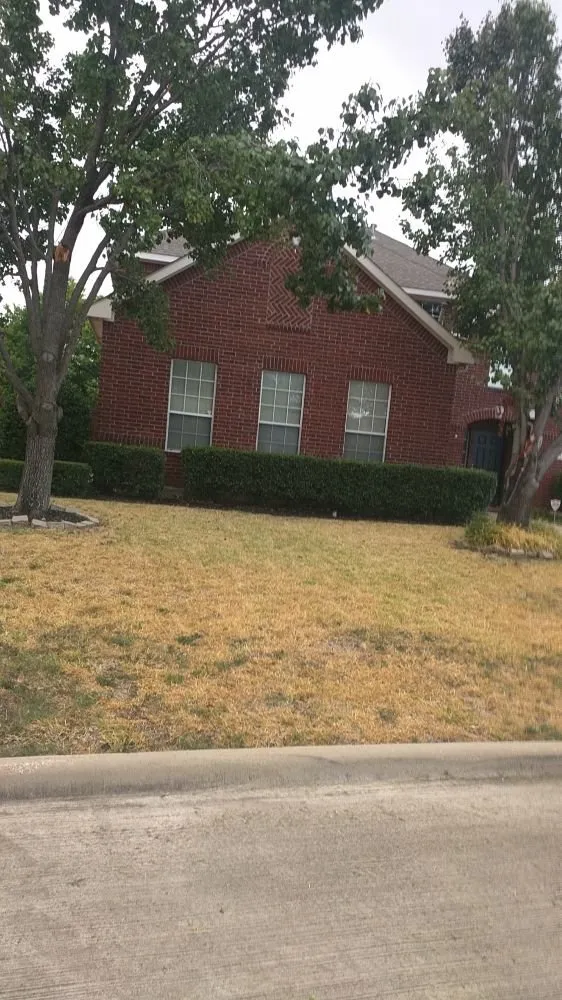 Trusted lawn care service experts serving Hurst, TX - Yards by Dave