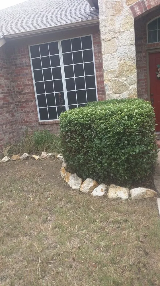 Custom yard maintenance for year-round maintenance in Hurst, TX by Yards by Dave