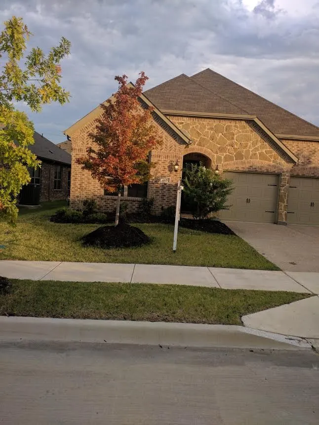Top-rated lawn care service for year-round maintenance across Hurst, TX - Yards by Dave