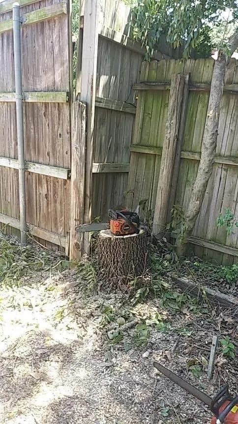 Local yard maintenance near you across Hurst, TX - Yards by Dave