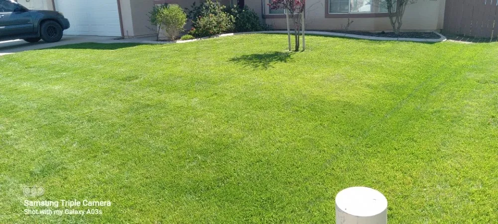 Local lawn care service in Menifee, CA - Yards by Design