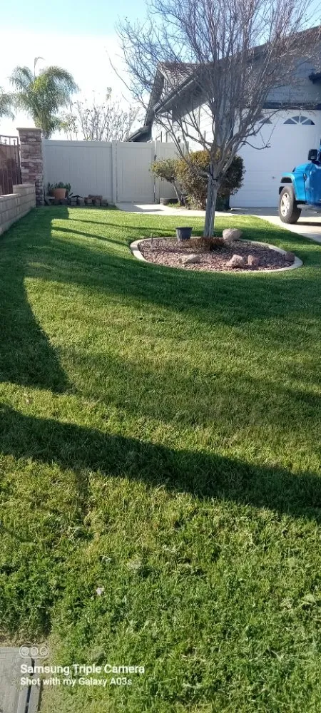 Professional landscaping services experts serving Menifee, CA - Yards by Design