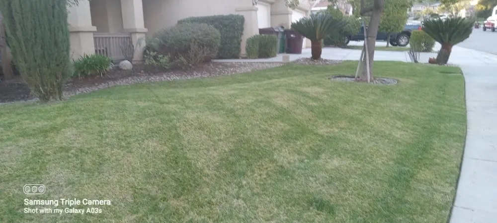 Custom garden landscaping near you across Menifee, CA - Yards by Design