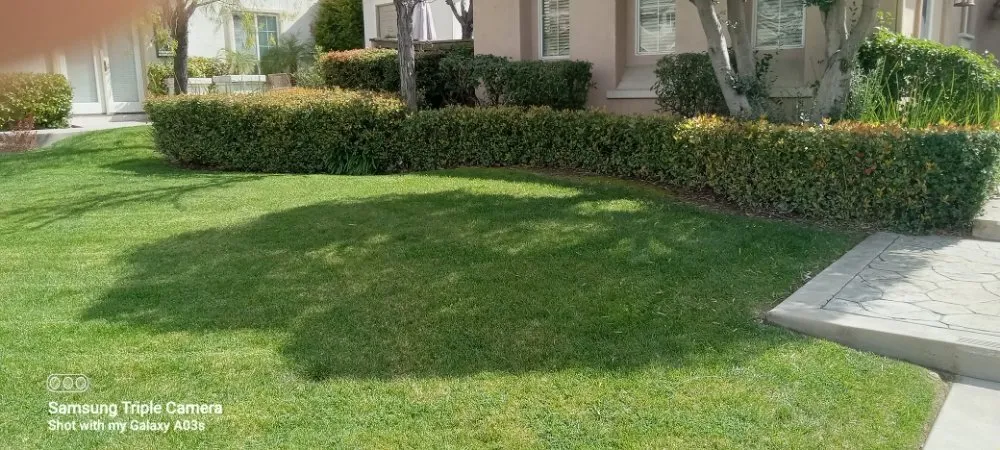 Expert garden landscaping for residential properties in Menifee, CA by Yards by Design