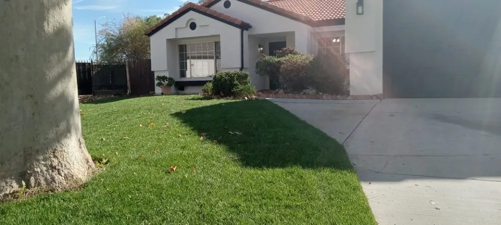 Expert yard maintenance for homes across Menifee, CA - Yards by Design