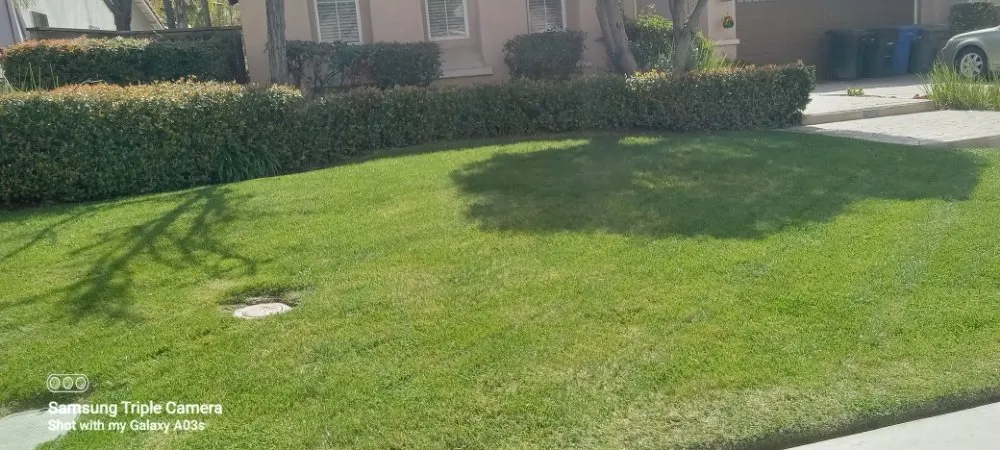 Local outdoor landscaping experts serving Menifee, CA - Yards by Design