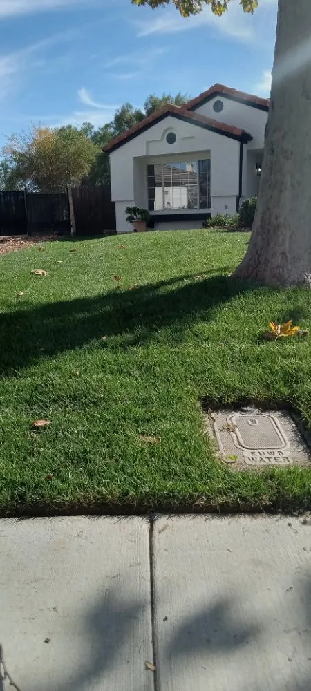 Top-rated landscape design in Menifee, CA by Yards by Design