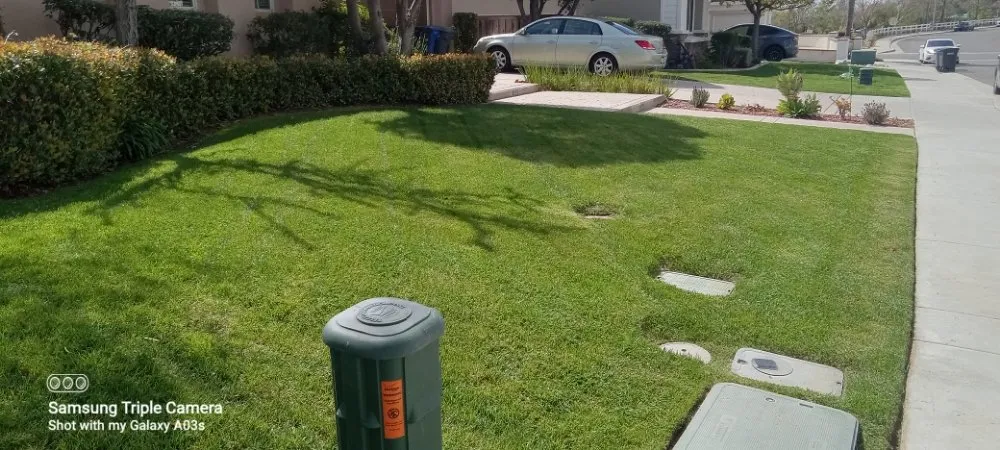 Trusted yard maintenance experts serving Menifee, CA - Yards by Design