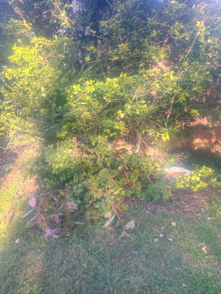 Custom residential landscaping in Scottsboro, AL - Yards By Eric & Christy