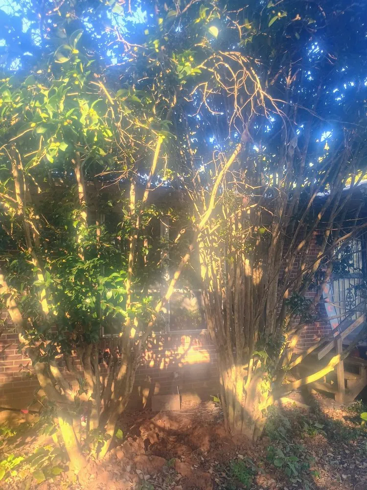 Top-rated yard maintenance in Scottsboro, AL - Yards By Eric & Christy