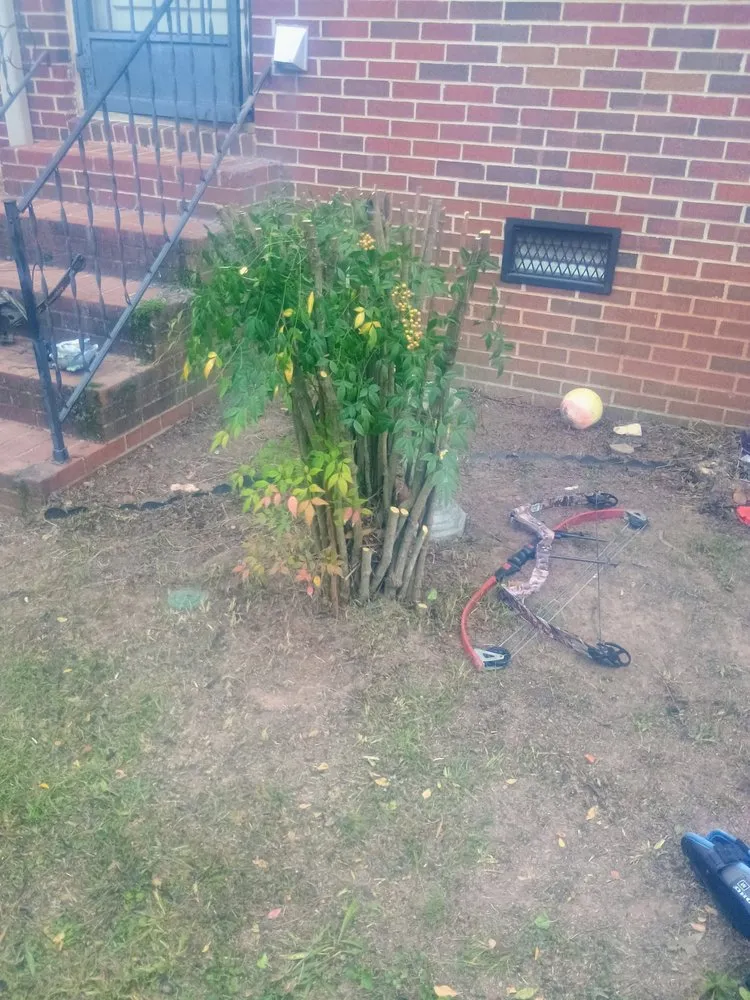 Professional lawn mowing service in Scottsboro, AL by Yards By Eric & Christy