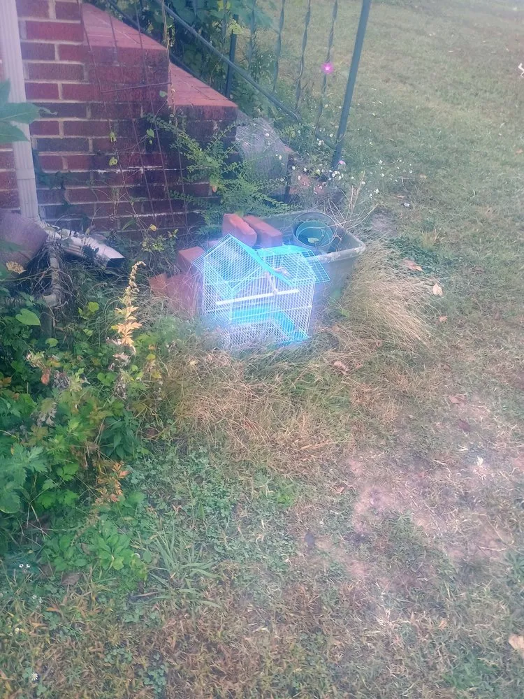 Custom lawn mowing service in Scottsboro, AL by Yards By Eric & Christy