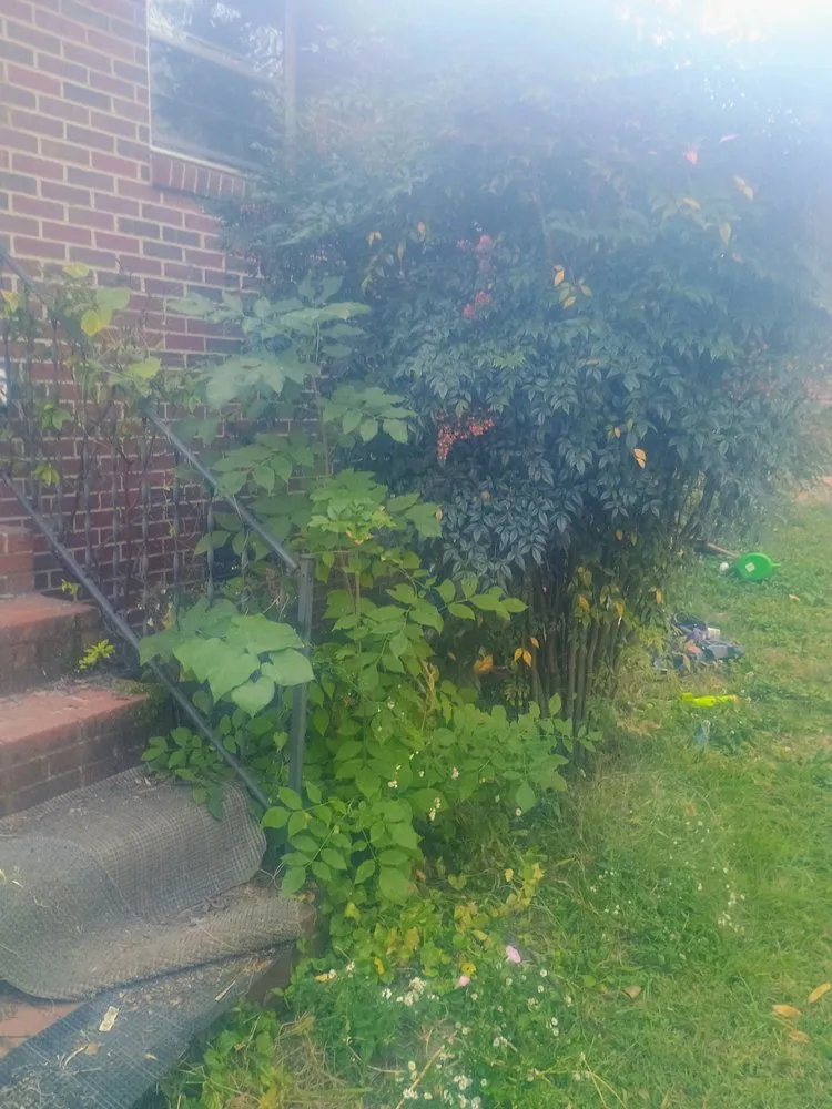 Trusted lawn mowing service in Scottsboro, AL - Yards By Eric & Christy