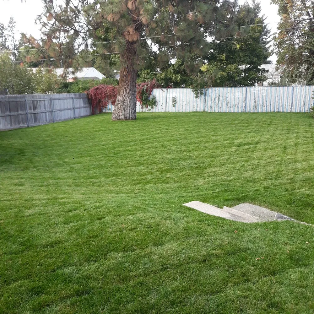 Affordable lawn care service near you across Spokane, WA - Yards by Nick