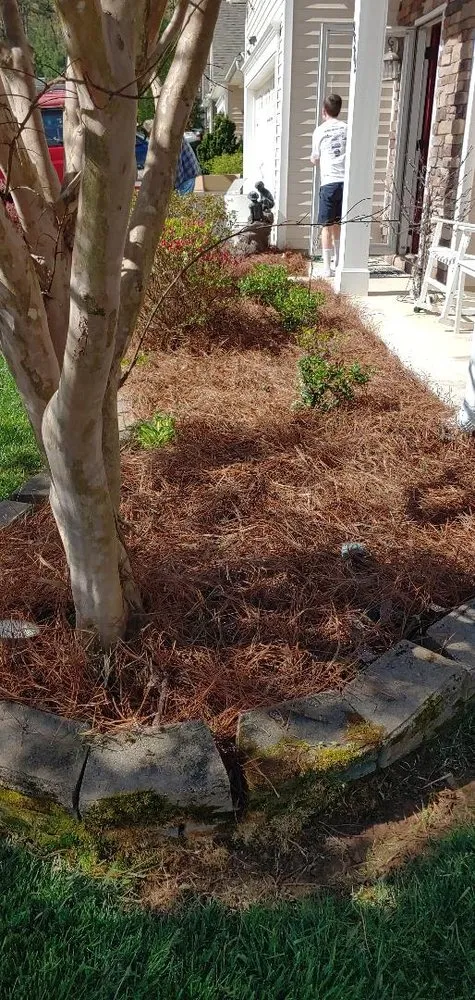 Top-rated landscape installation near you in Pfafftown, NC by Yards By Us