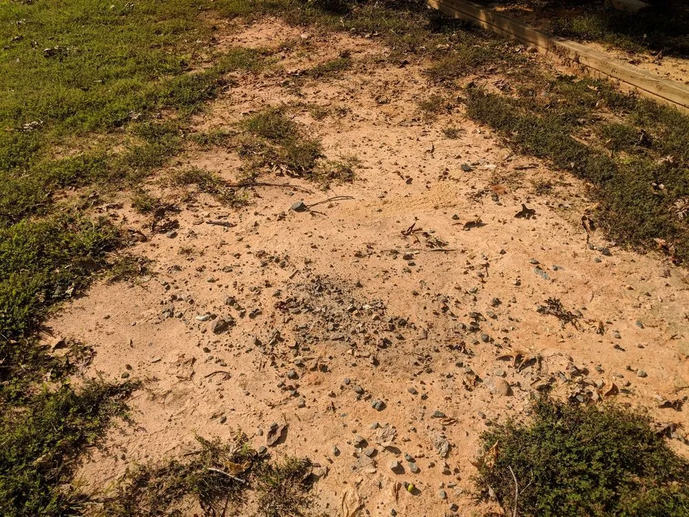 Trusted landscaping services in Pfafftown, NC - Yards By Us