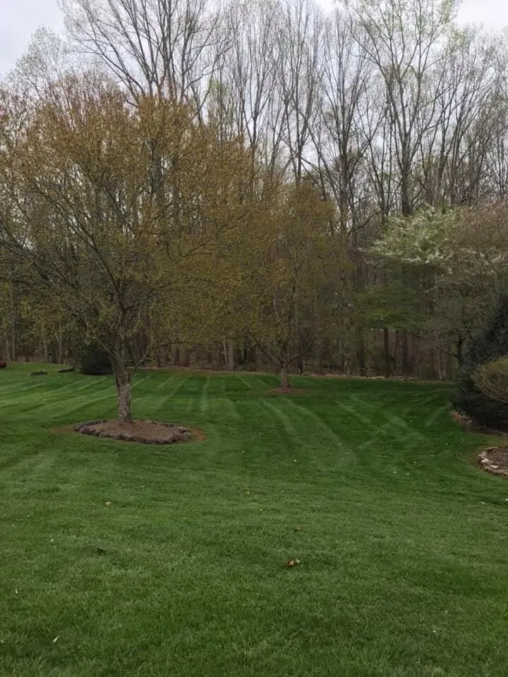 Top-rated landscape design in Pfafftown, NC - Yards By Us