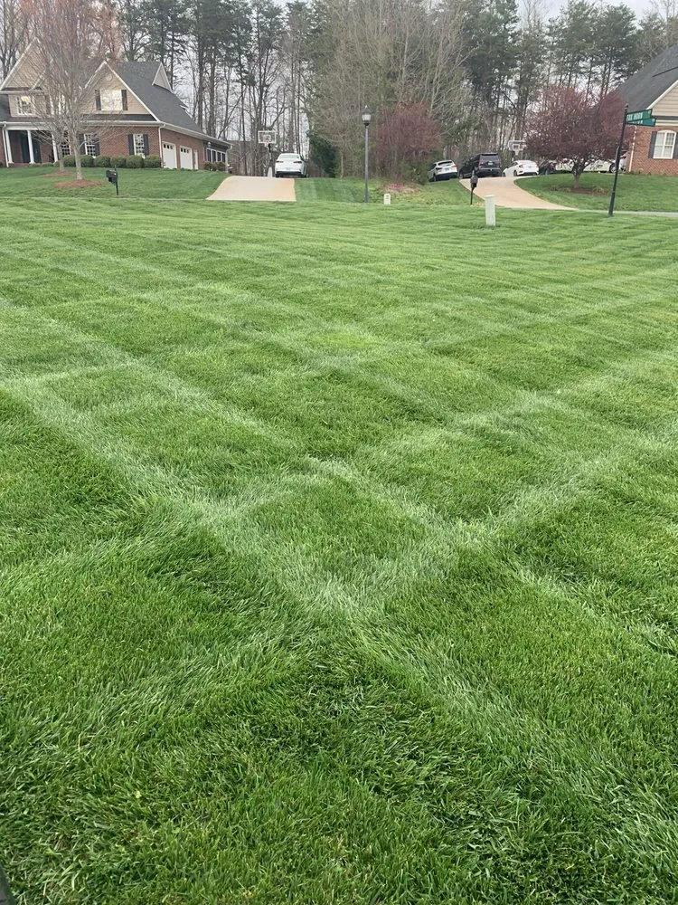 Professional lawn care service in Pfafftown, NC - Yards By Us