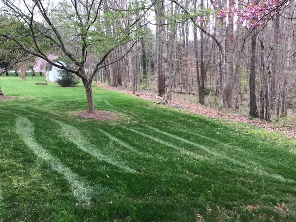 Custom lawn care service in Pfafftown, NC by Yards By Us