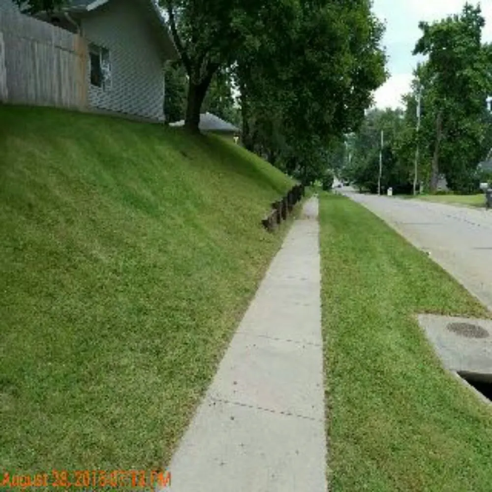 Trusted yard cleanup service in Iowa City, IA by YARDS by Wes