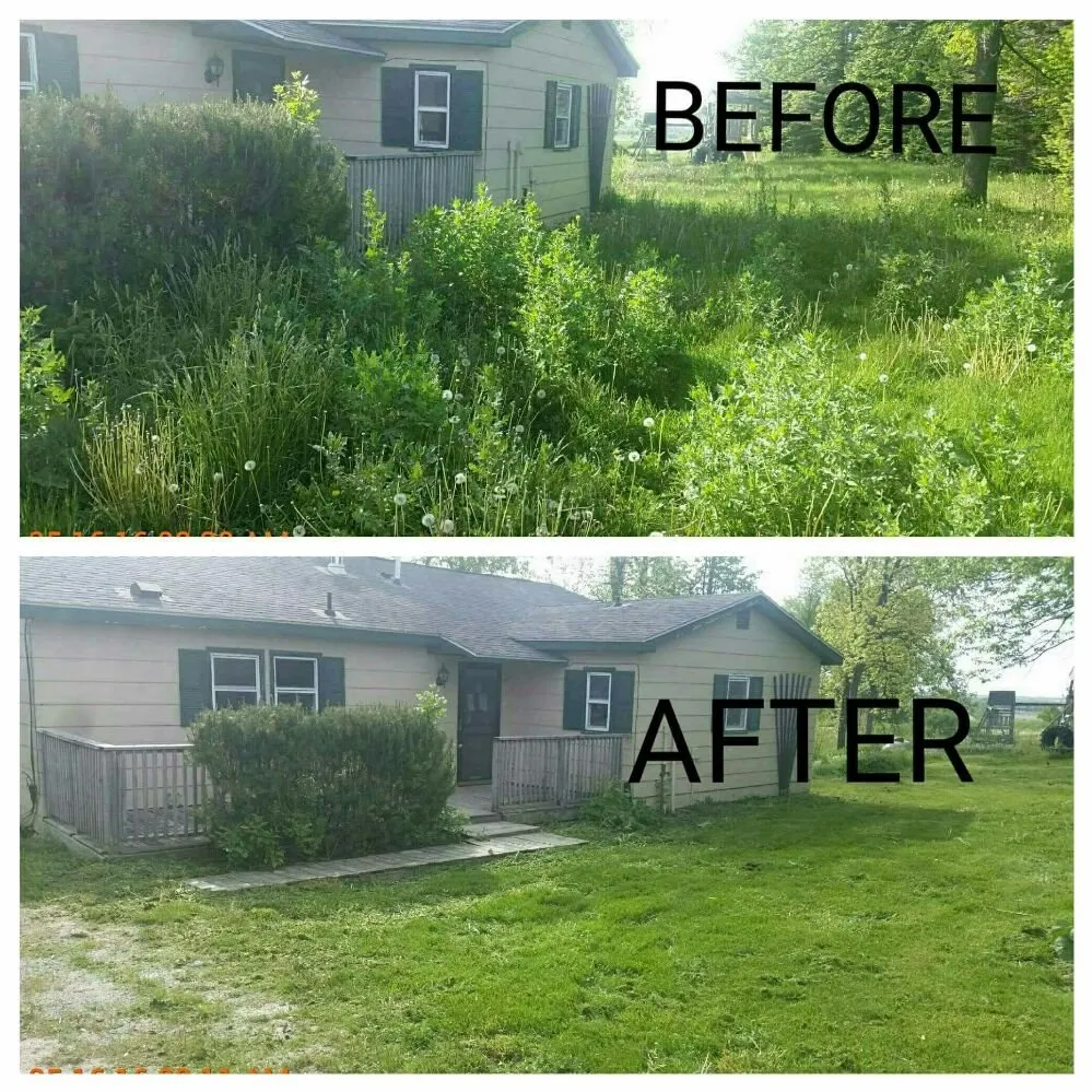 Reliable yard cleanup service in Iowa City, IA - YARDS by Wes