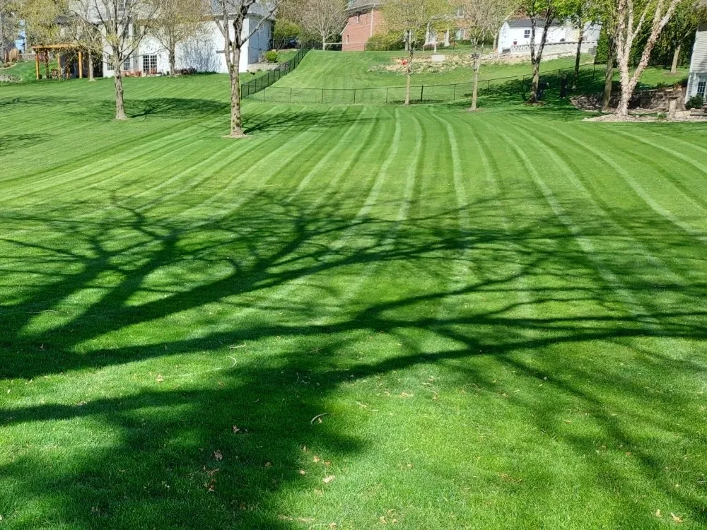 Reliable garden landscaping experts serving Iowa City, IA - YARDS by Wes