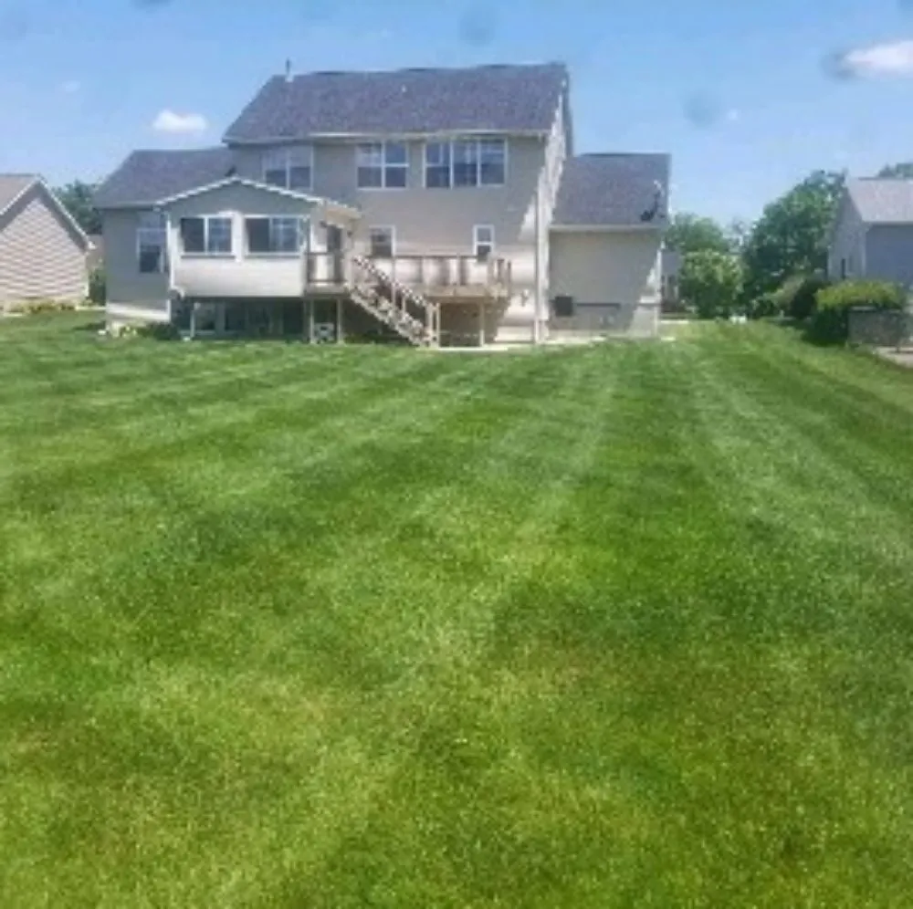 Top-rated yard cleanup service near you across Iowa City, IA - YARDS by Wes